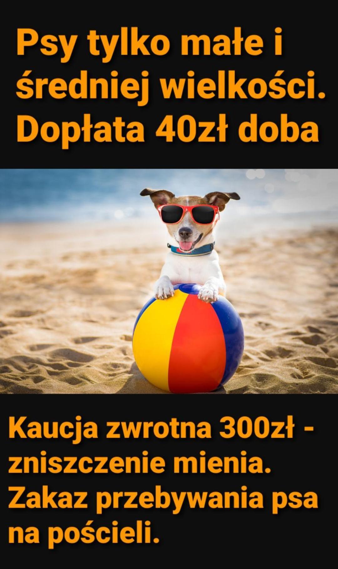 Pokoje Sandra II Łeba Dış mekan fotoğraf